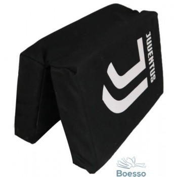 CUSCINO DA STADIO JUVENTUS...