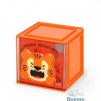 CUBO ORGANIZZATORE LEGAMI...